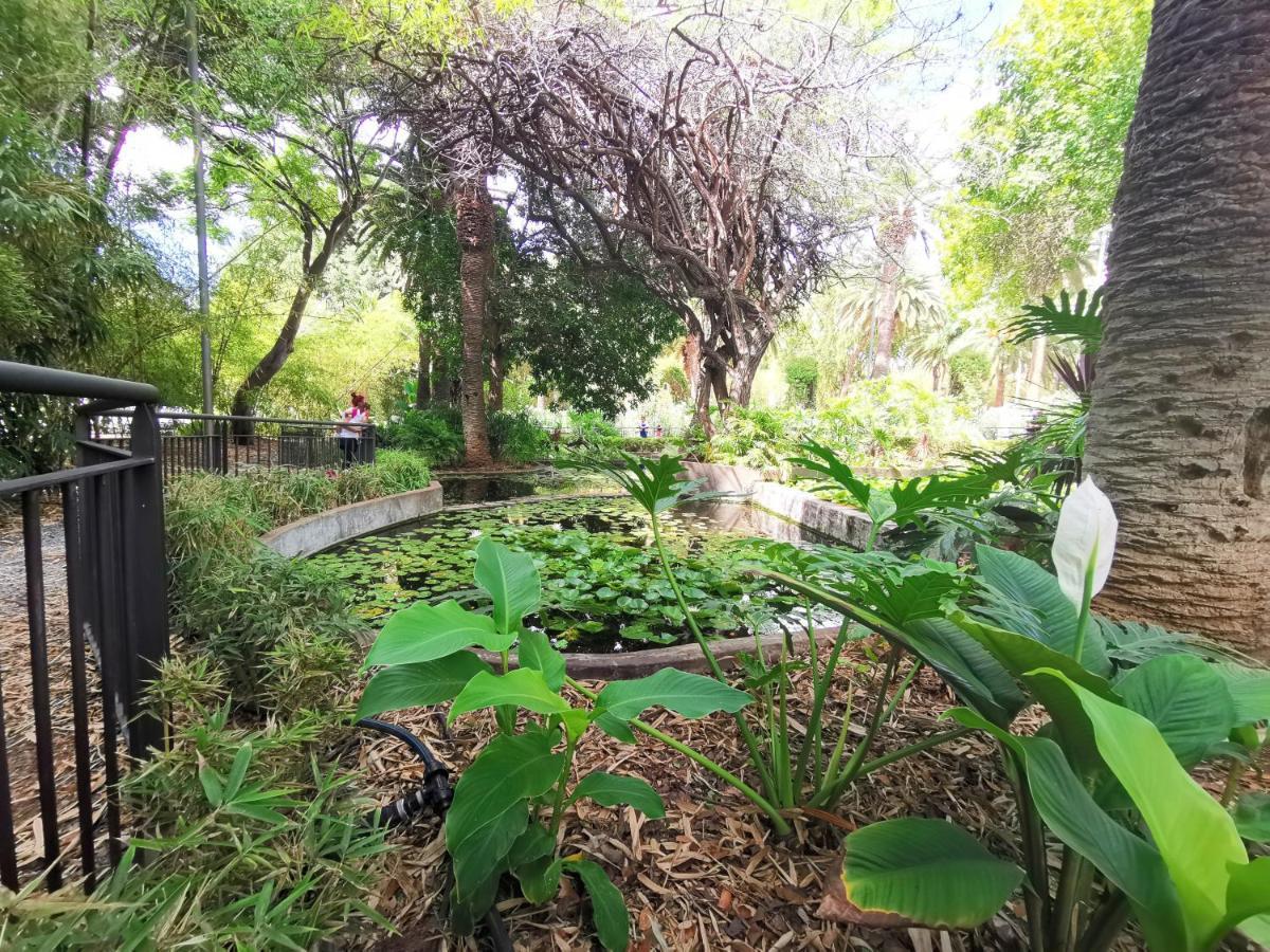 Home2Book Bright Center Apartment Santa Cruz Buitenkant foto